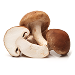 Шитаке печурка